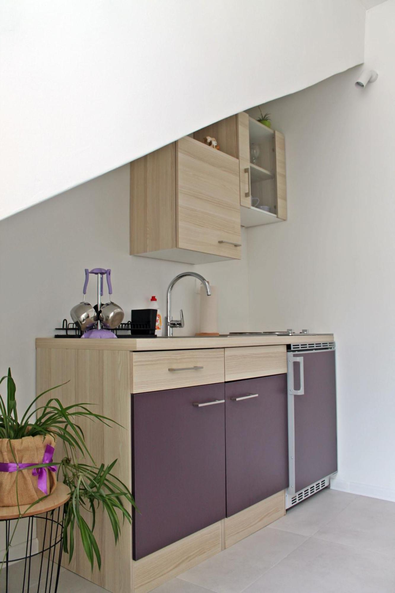 Meow Apartment *