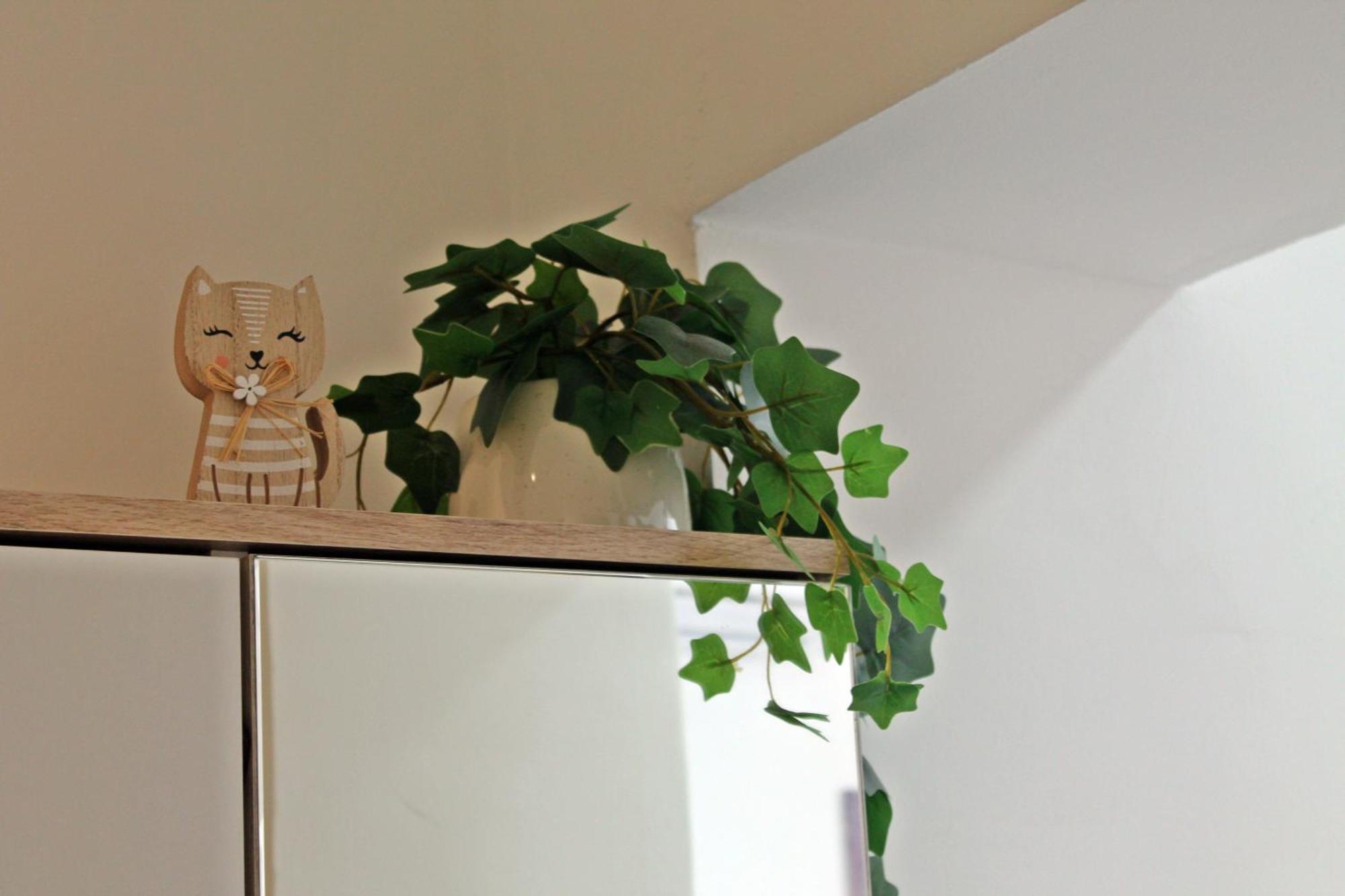 Appartement Meow